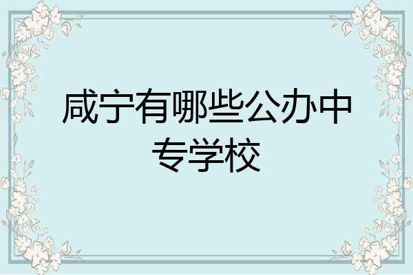 咸宁有哪些公办中专学校