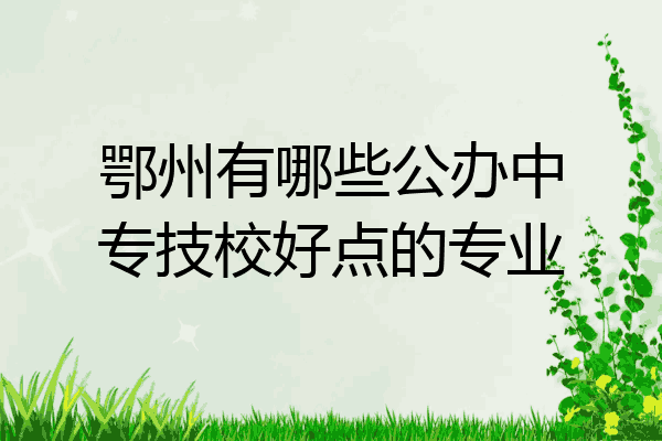 鄂州有哪些公办中专技校好点的专业