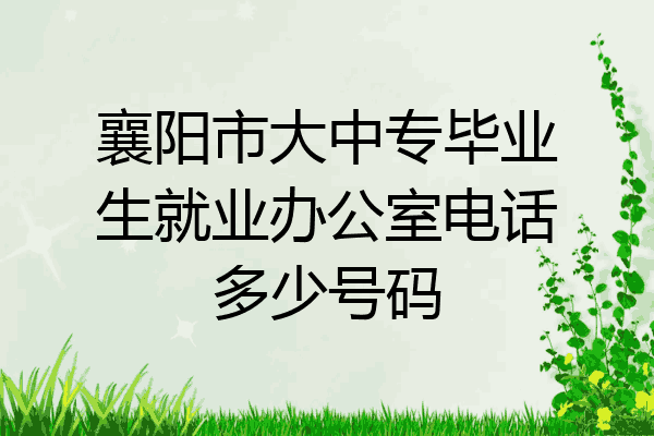 襄阳市大中专毕业生就业办公室电话多少号码