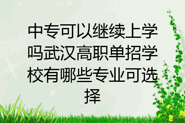 中专可以继续上学吗武汉高职单招学校有哪些专业可选择
