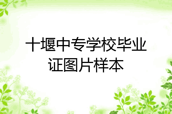 十堰中专学校毕业证图片样本