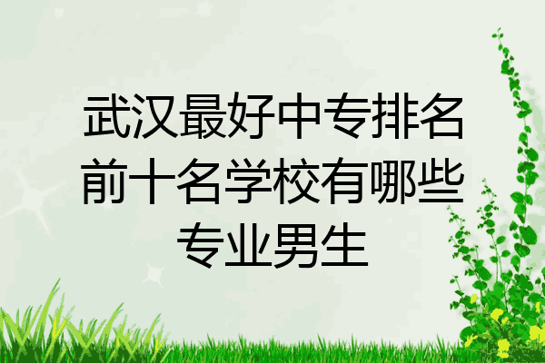 武汉最好中专排名前十名学校有哪些专业男生