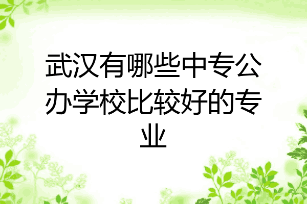武汉有哪些中专公办学校比较好的专业