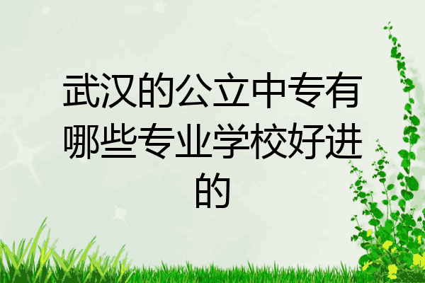 武汉的公立中专有哪些专业学校好进的