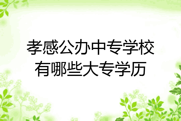 孝感公办中专学校有哪些大专学历