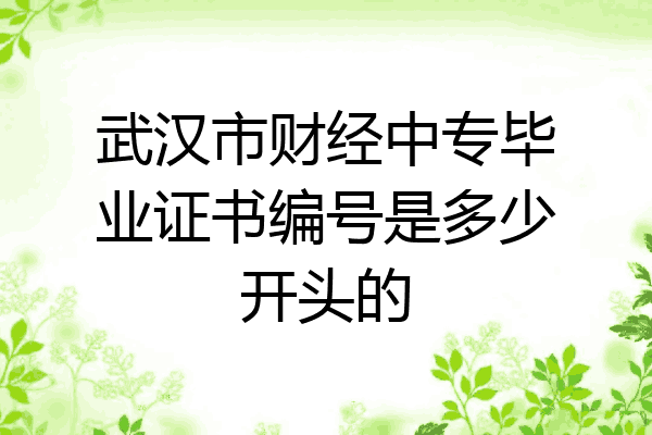 武汉市财经中专毕业证书编号是多少开头的