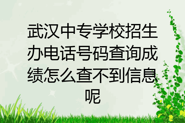 武汉中专学校招生办电话号码查询成绩怎么查不到信息呢