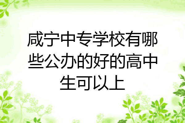 咸宁中专学校有哪些公办的好的高中生可以上