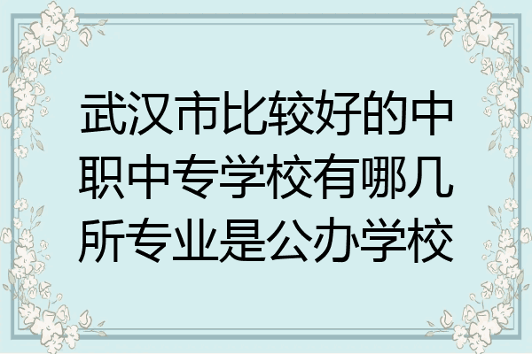 武汉市比较好的中职中专学校有哪几所专业是公办学校