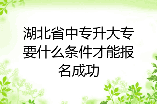 湖北省中专升大专要什么条件才能报名成功