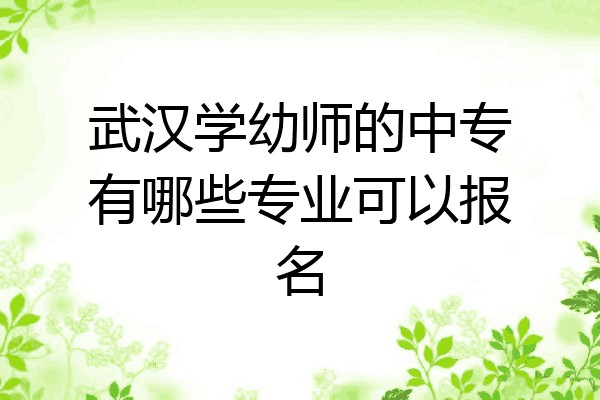 武汉学幼师的中专有哪些专业可以报名