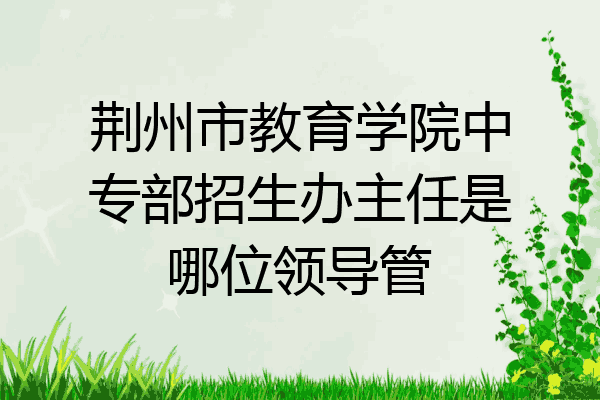 荆州市教育学院中专部招生办主任是哪位领导管