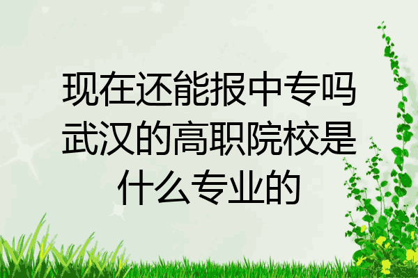 现在还能报中专吗武汉的高职院校是什么专业的