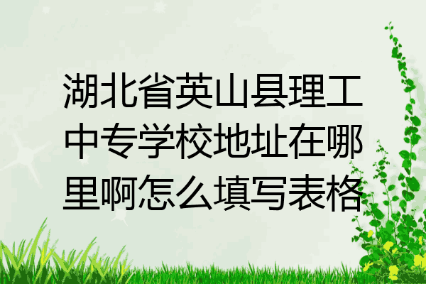 湖北省英山县理工中专学校地址在哪里啊怎么填写表格