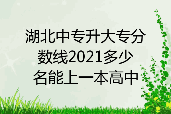 湖北中专升大专分数线2021多少名能上一本高中