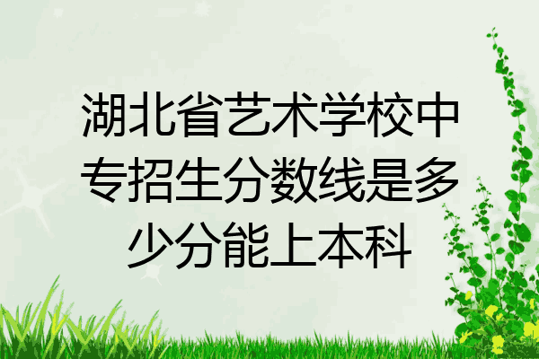 湖北省艺术学校中专招生分数线是多少分能上本科