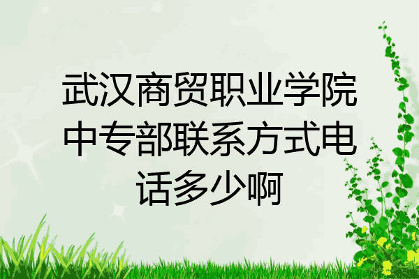 武汉商贸职业学院中专部联系方式电话多少啊