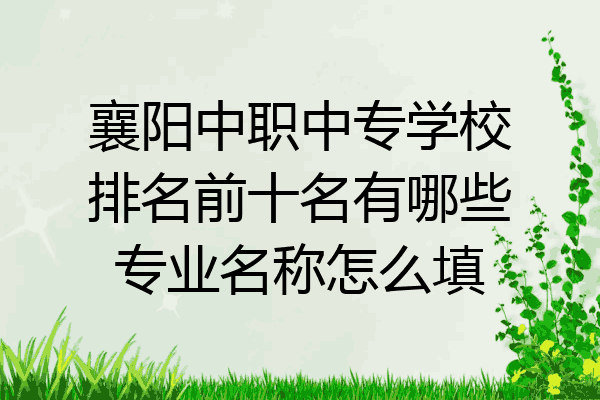 襄阳中职中专学校排名前十名有哪些专业名称怎么填