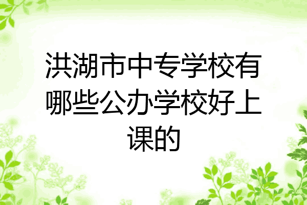 洪湖市中专学校有哪些公办学校好上课的