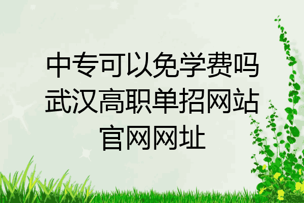 中专可以免学费吗武汉高职单招网站官网网址