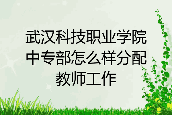 武汉科技职业学院中专部怎么样分配教师工作