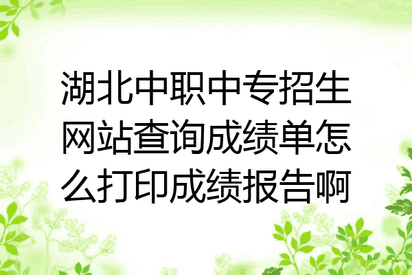湖北中职中专招生网站查询成绩单怎么打印成绩报告啊