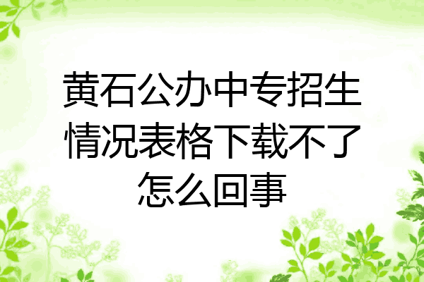 黄石公办中专招生情况表格下载不了怎么回事