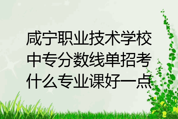 咸宁职业技术学校中专分数线单招考什么专业课好一点