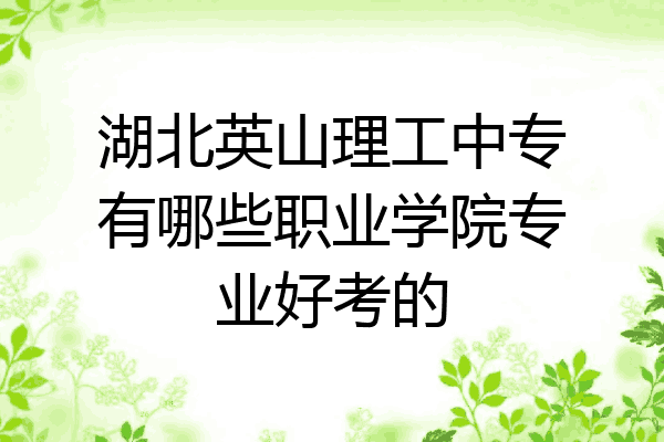 湖北英山理工中专有哪些职业学院专业好考的