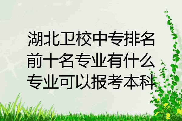 湖北卫校中专排名前十名专业有什么专业可以报考本科
