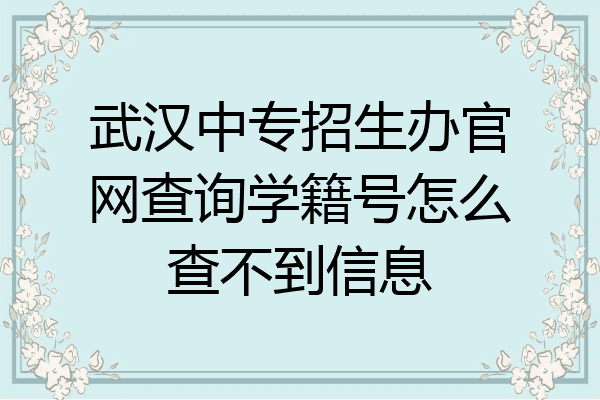 武汉中专招生办官网查询学籍号怎么查不到信息