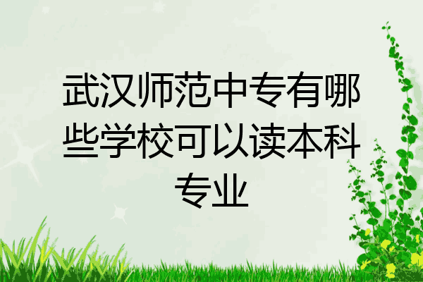 武汉师范中专有哪些学校可以读本科专业