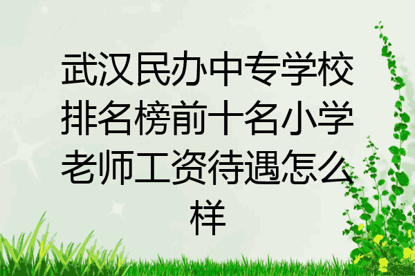 武汉民办中专学校排名榜前十名小学老师工资待遇怎么样