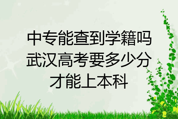 中专能查到学籍吗武汉高考要多少分才能上本科