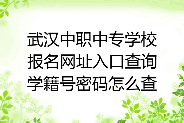武汉中职中专学校报名网址入口查询学籍号密码怎么查