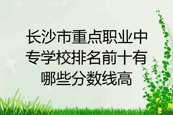长沙市重点职业中专学校排名前十有哪些分数线高