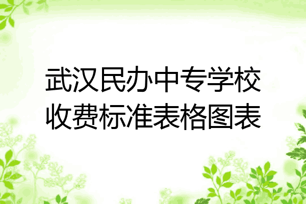 武汉民办中专学校收费标准表格图表