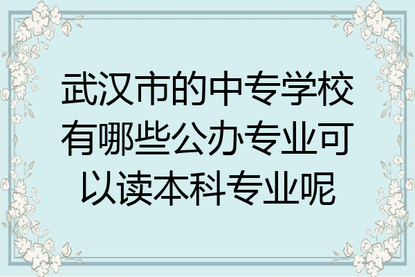 武汉市的中专学校有哪些公办专业可以读本科专业呢