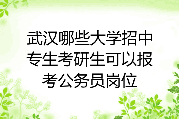 武汉哪些大学招中专生考研生可以报考公务员岗位