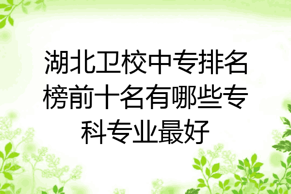 湖北卫校中专排名榜前十名有哪些专科专业最好
