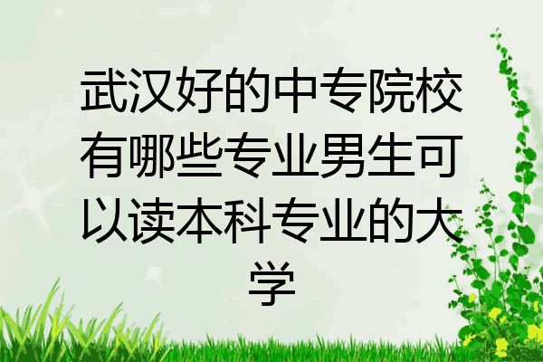 武汉好的中专院校有哪些专业男生可以读本科专业的大学