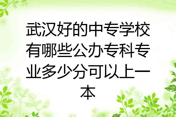 武汉好的中专学校有哪些公办专科专业多少分可以上一本