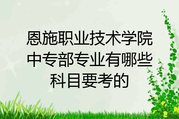 恩施职业技术学院中专部专业有哪些科目要考的