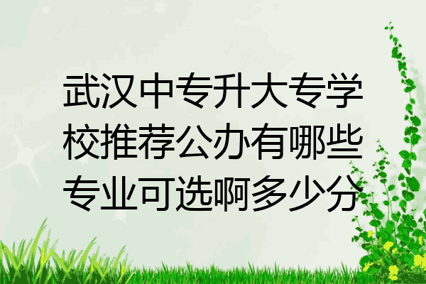 武汉中专升大专学校推荐公办有哪些专业可选啊多少分