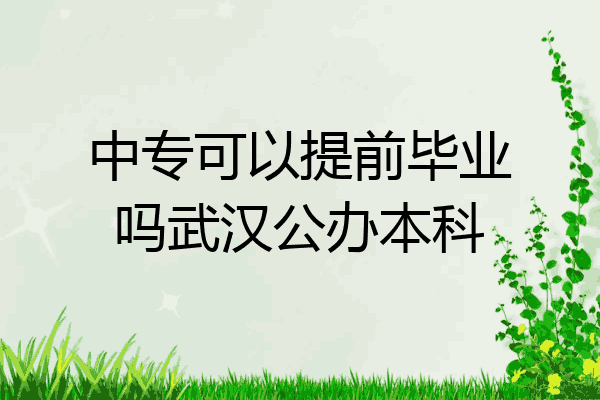 中专可以提前毕业吗武汉公办本科