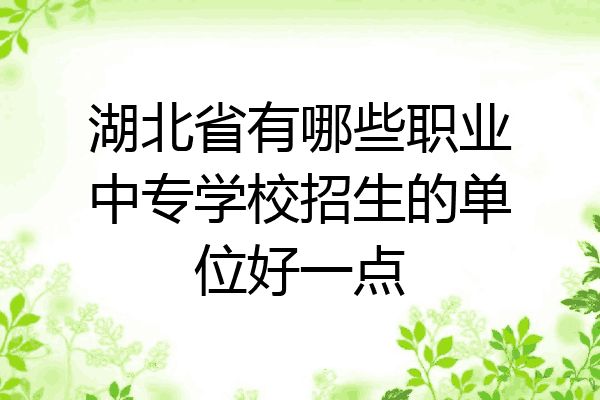 湖北省有哪些职业中专学校招生的单位好一点