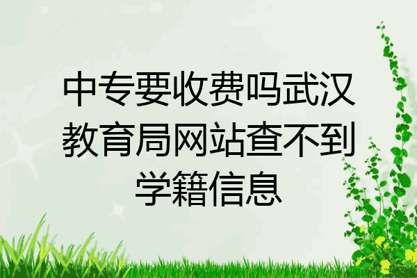 中专要收费吗武汉教育局网站查不到学籍信息