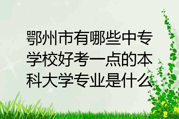 鄂州市有哪些中专学校好考一点的本科大学专业是什么