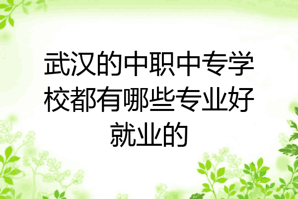 武汉的中职中专学校都有哪些专业好就业的
