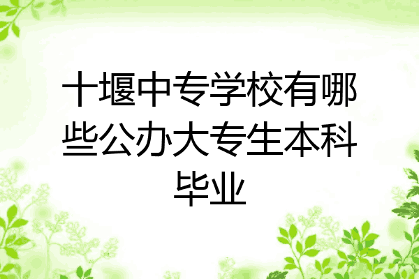 十堰中专学校有哪些公办大专生本科毕业